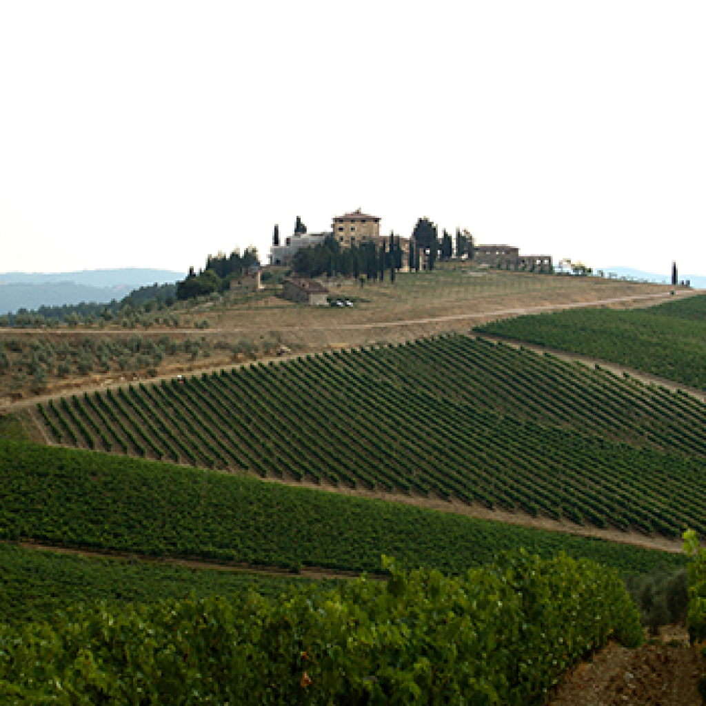 toscana